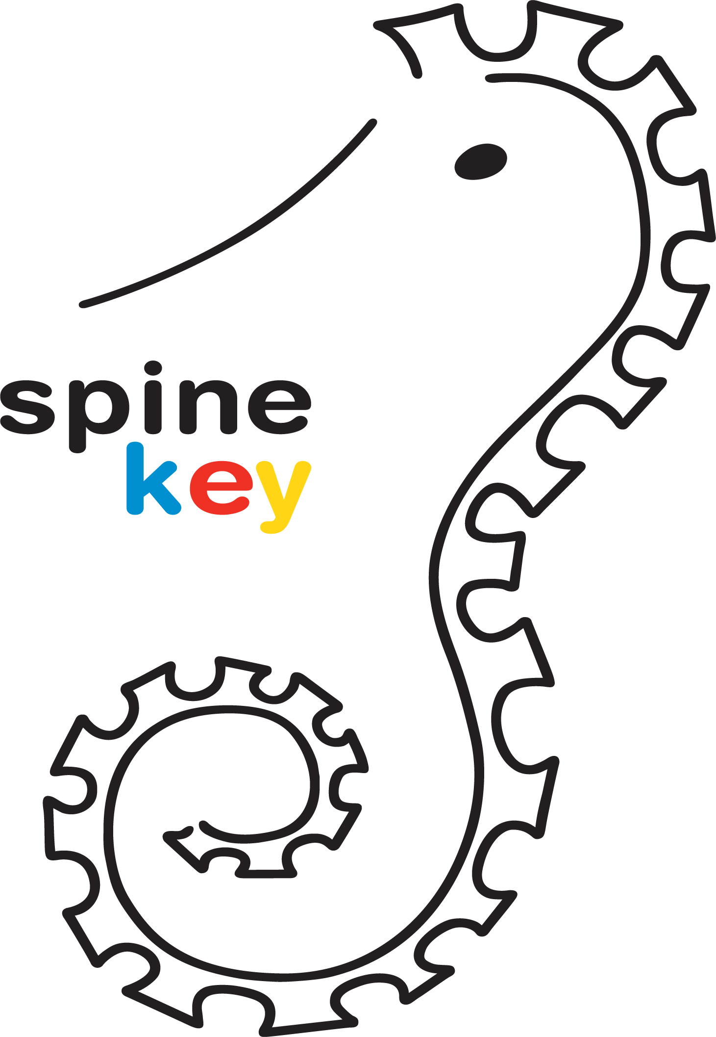 Spinekey S.r.l.